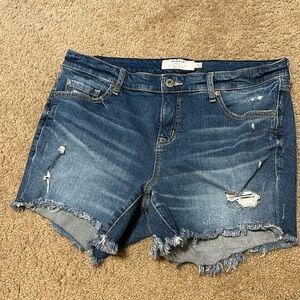Torrid Denim Shorts